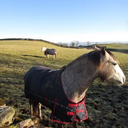 펜션 Windy Nook Glendowlin, Yanwath Ca10 2la