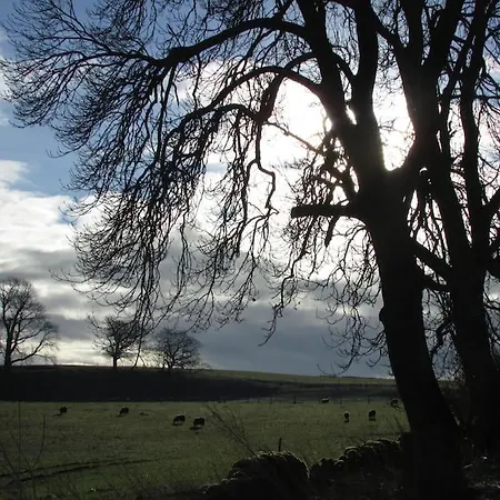 Windy Nook Glendowlin, Yanwath Ca10 2la *